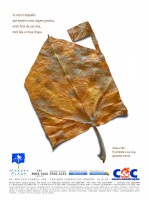 /album/alexandre-paulinetti/anuncio-c-c-campos-02-jpg/